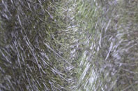 Cwmfelinfach fibreglass roof work